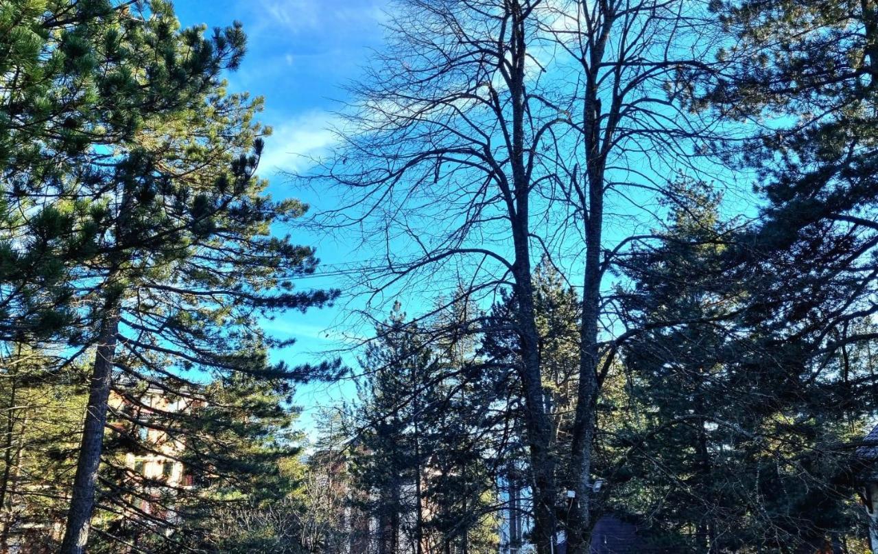 Vila Lucic Zlatibor Zewnętrze zdjęcie