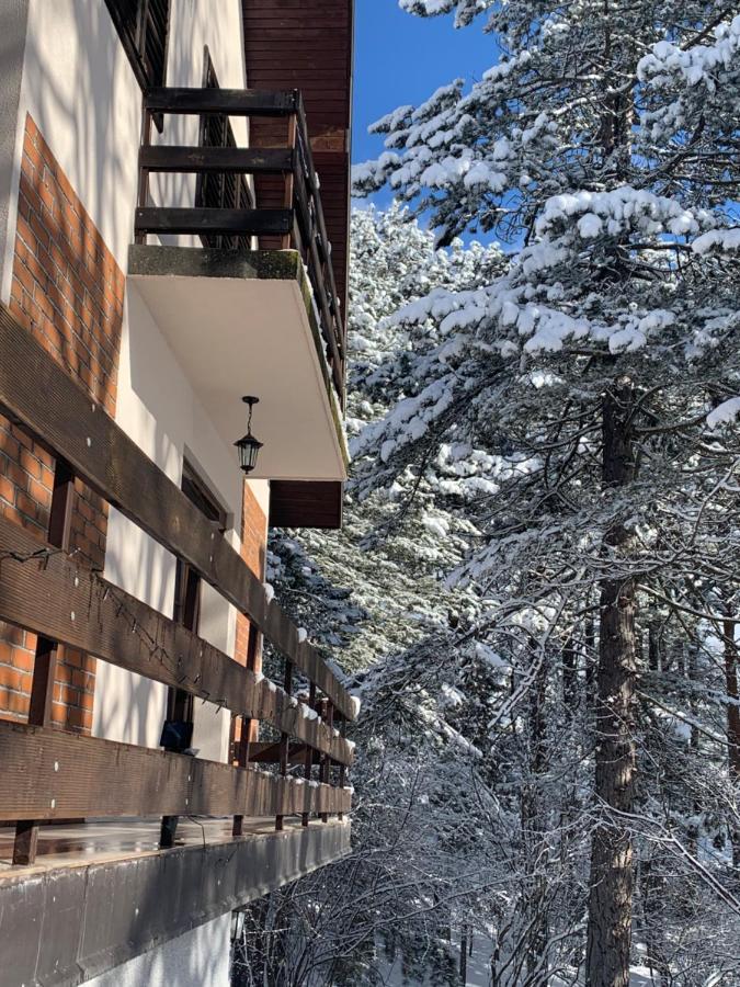 Vila Lucic Zlatibor Zewnętrze zdjęcie