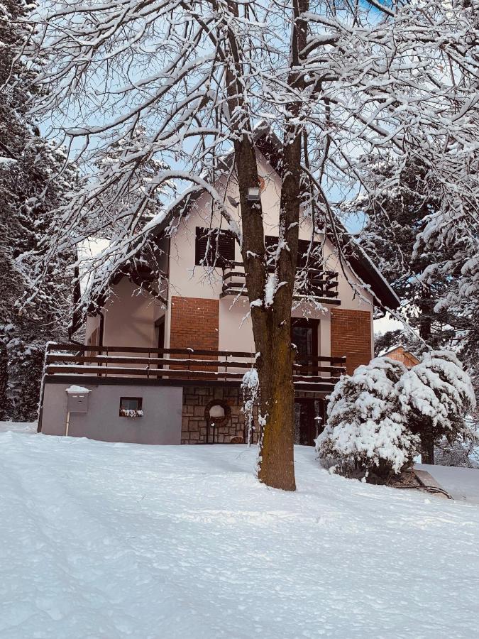 Vila Lucic Zlatibor Zewnętrze zdjęcie