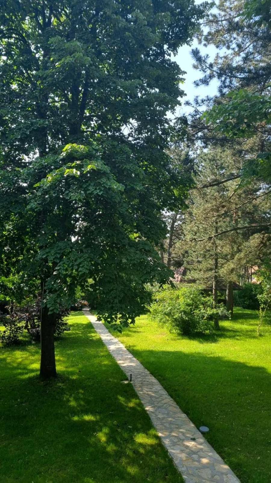 Vila Lucic Zlatibor Zewnętrze zdjęcie